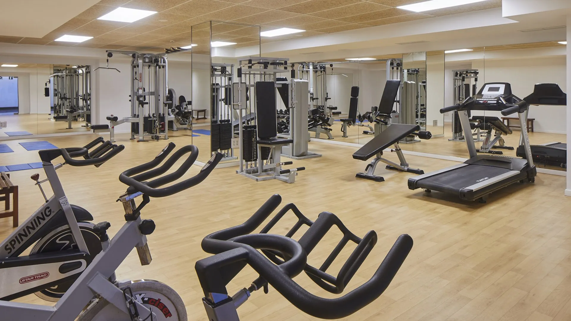 47 Mẫu Thiết Kế Phòng Gym Đẹp Mới Nhất Hiện Nay 10