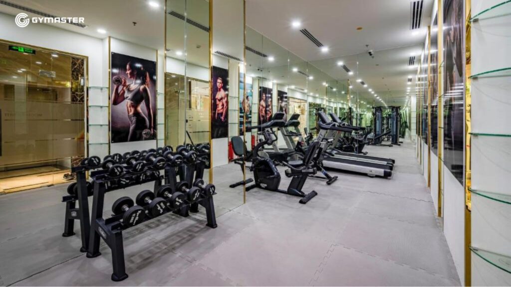 TƯ VẤN SETUP PHÒNG GYM NTA TOWER QUẬN 1 13 TƯ VẤN SETUP PHÒNG GYM NTA TOWER QUẬN 1 13