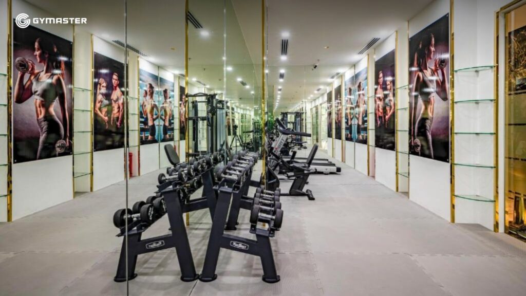 TƯ VẤN SETUP PHÒNG GYM NTA TOWER QUẬN 1 9 TƯ VẤN SETUP PHÒNG GYM NTA TOWER QUẬN 1 9
