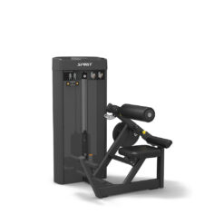 Máy Khối Cơ Lưng BACK EXTENSION SP-4310
