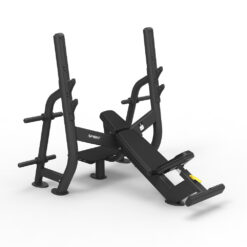 Ghế Đẩy Tạ Dốc Lên OLYMPIC INCLINE BENCH SP-4210