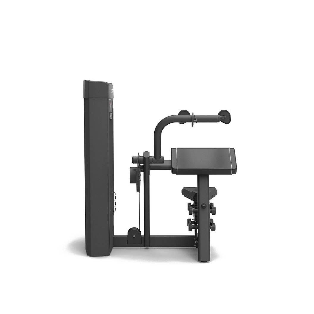 9ab980_d4ab02c47c0246d798d164813ee70bf4_mv2 Máy Khối Cơ Tam Đầu TRICEPS EXTENSION SP-4308 2