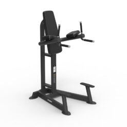 Ghế Đá Bụng Dưới/ Hít Xà Dưới LEG RAISE / DIP SP-4215