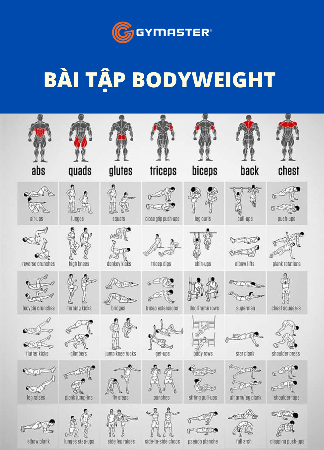 Hướng Dẫn Lịch Tập Gym Cho Người Mới Bắt Đầu Đúng & Hiệu Quả 6