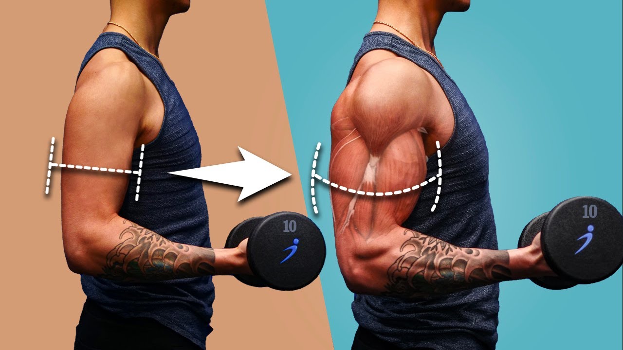 Lịch Tập Gym Cho Nam Tăng Cơ Hiệu Quả Nhất 1