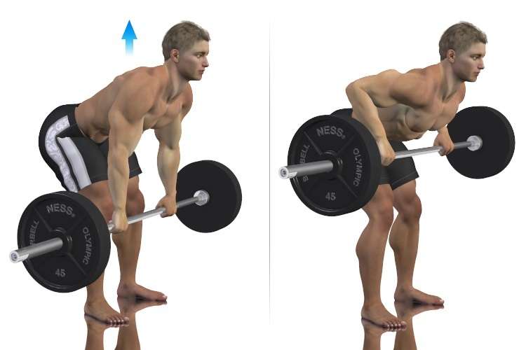 5 Lưu Ý Khi Tập gym Cho Người Gầy Khỏe Khoắn Dáng Chuẩn 8