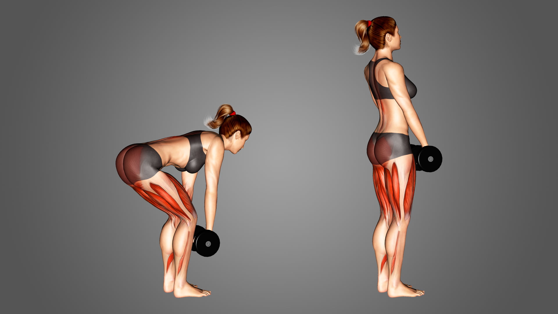 Bài Tập Gym Cho Nữ Eo Thon, Mông Trái Đào 8