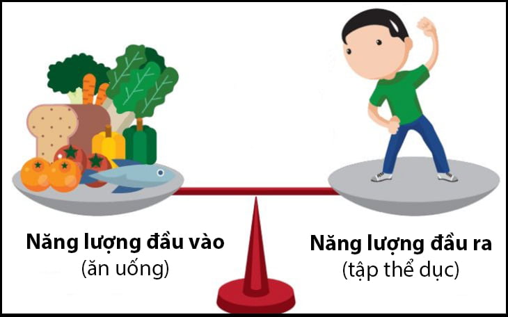 Cách Giảm Mỡ Bụng An Toàn, Khoa Học Nhất 6