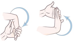 7 Bài Tập Phục Hồi Chức Năng Tay, Bàn Tay, Ngón Tay 3 7 Bài Tập Phục Hồi Chức Năng Tay, Bàn Tay, Ngón Tay 3
