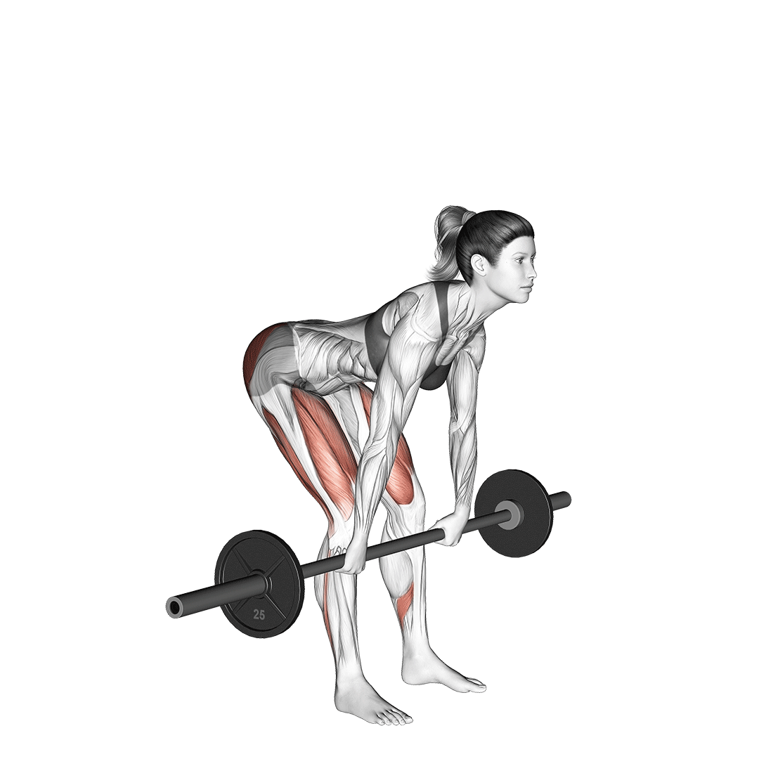 11 Bài Tập Chân Tại Phòng Gym Cho Mọi Cấp Độ 12 11 Bài Tập Chân Tại Phòng Gym Cho Mọi Cấp Độ 12