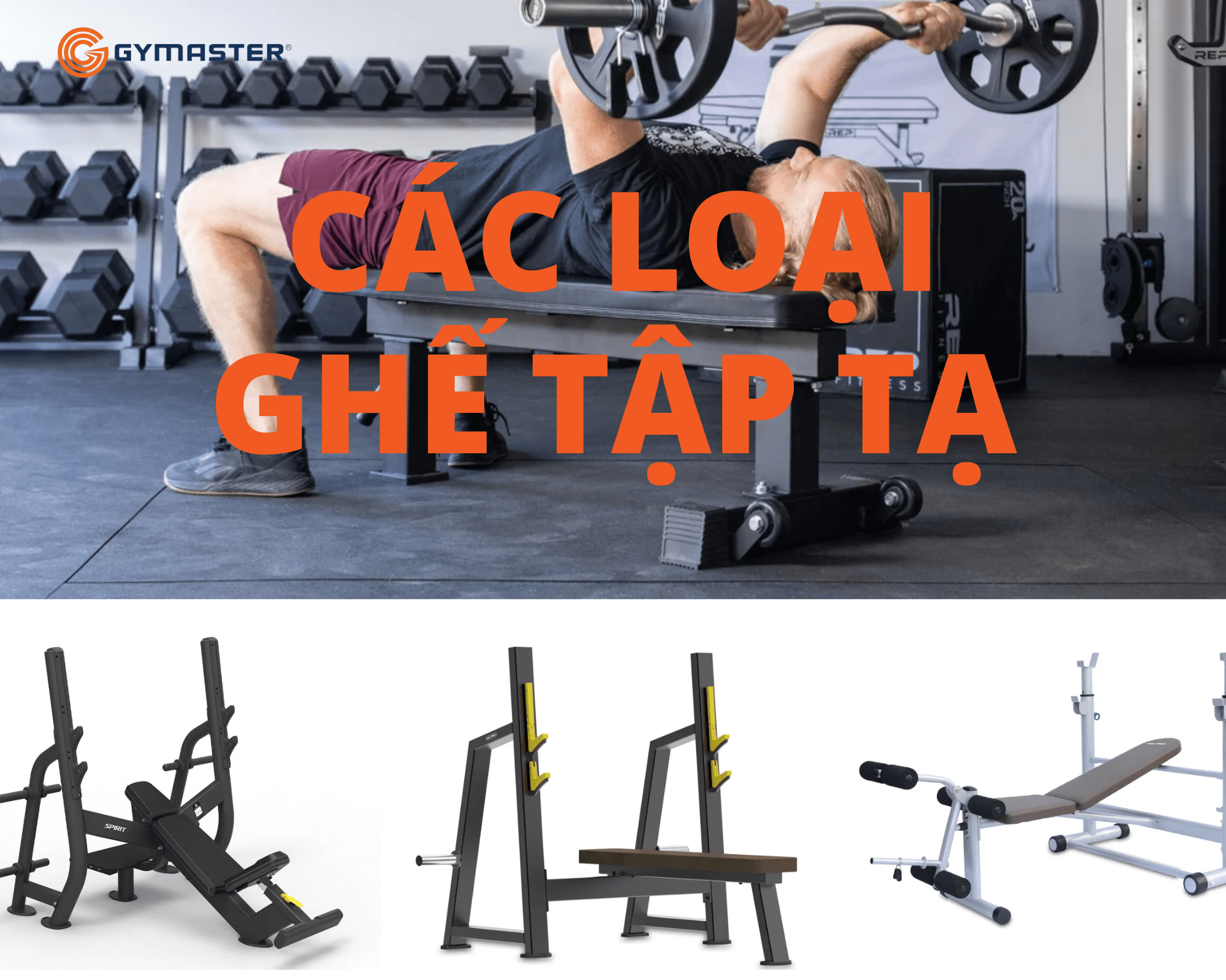 Kích Thước Ghế Tập Tạ Tự Chế & Tiêu Chuẩn Chính Xác Nhất 3