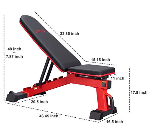 Kích Thước Ghế Tập Tạ Tự Chế & Tiêu Chuẩn Chính Xác Nhất 4