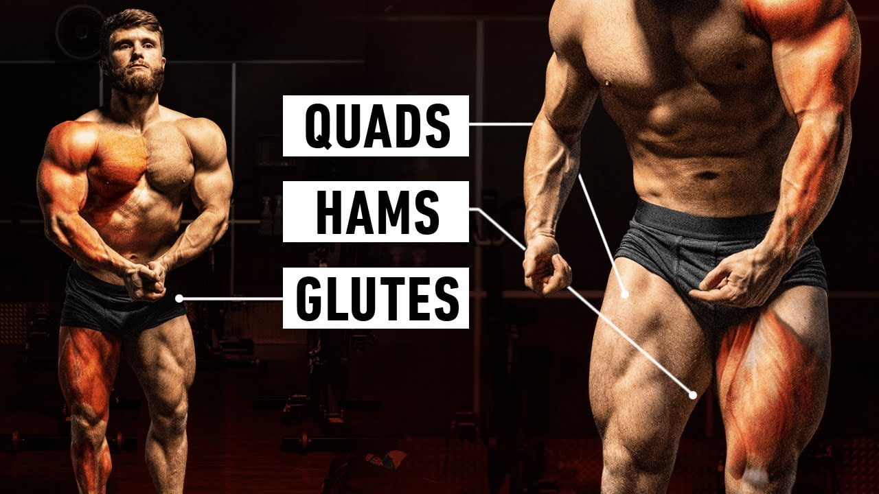 Bài Tập Chân Có Quan Trong Khi Tập Gym Không? 4