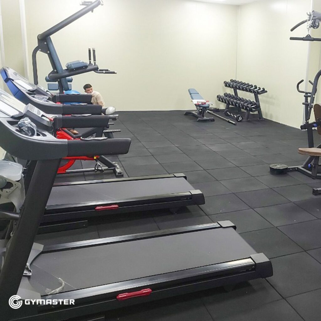 TƯ VẤN SETUP PHÒNG GYM CÔNG TY DONGYANG HẢI PHÒNG 9