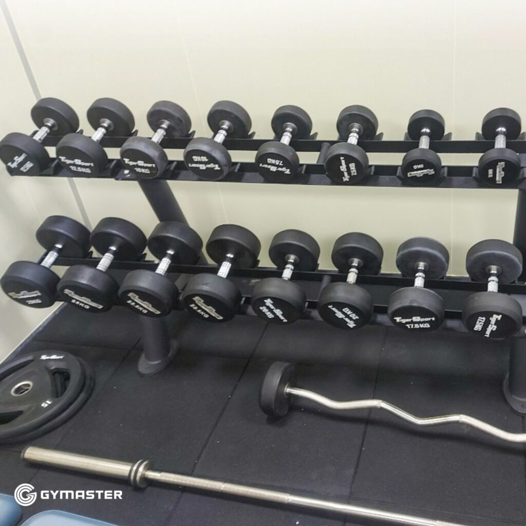 TƯ VẤN SETUP PHÒNG GYM CÔNG TY DONGYANG HẢI PHÒNG 8
