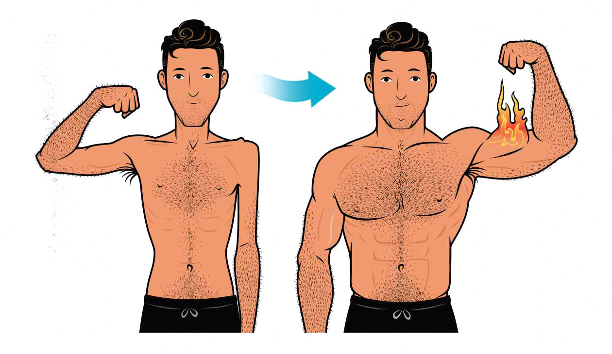 Mass Tăng Cân Là Gì: Phải Hiểu Hết Trước Khi Dùng 8