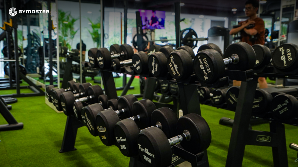 TƯ VẤN SET UP PHÒNG GYM LEONTINA GYM AND FITNESS CENTER TÂN BÌNH 16