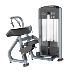 45 Degree Triceps Extension Máy khối tập tay sau TM-FF28