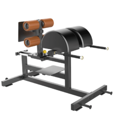 Glute Ham Raise Bench TM-F94