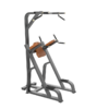 Knee Up Chin + Pull Up Ghế tập bụng TM-F80