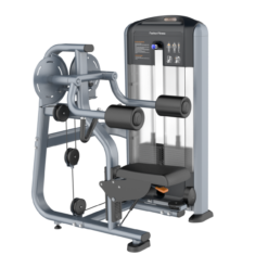 Lateral Raise Máy khối banh vai TM-FF05