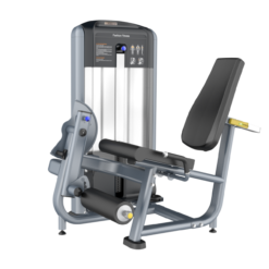 Leg Extension Máy khối đá đùi TM-FF02