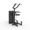 Dip/Chin Assist Máy khối xà đơn xà kép TGP-2104