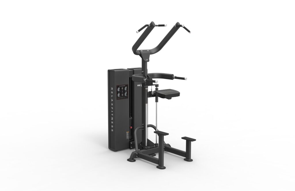 Dip/Chin Assist Máy khối xà đơn xà kép TGP-2104