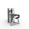 Biceps Curl/Triceps Extension Máy khối tập tay trước và tay sau TGP-2107