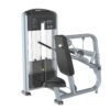 Seated Dip Máy khối tập tay sau TM-FF26Tiger Sport 3 Seated Dip Máy khối tập tay sau TM-FF26
