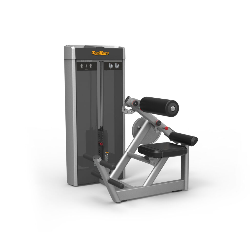 Back Extension Máy khối tập lưng TGP-2010