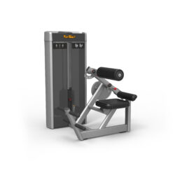 Back Extension Máy khối tập lưng TGP-2010