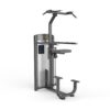 Dip/Chin Assist Máy khối xà đơn xà kép TGP-804