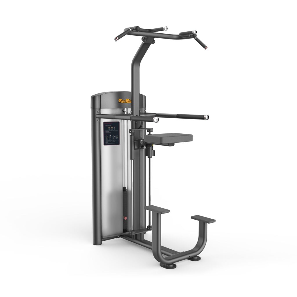 Dip/Chin Assist Máy khối xà đơn xà kép TGP-804