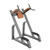 Vertical Knee Up /Dip Máy tập bụng TM-F47 2 Vertical Knee Up Dip Máy tập bụng TM-F47