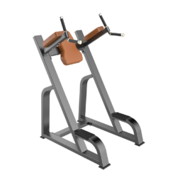 Vertical Knee Up Dip Máy tập bụng TM-F47