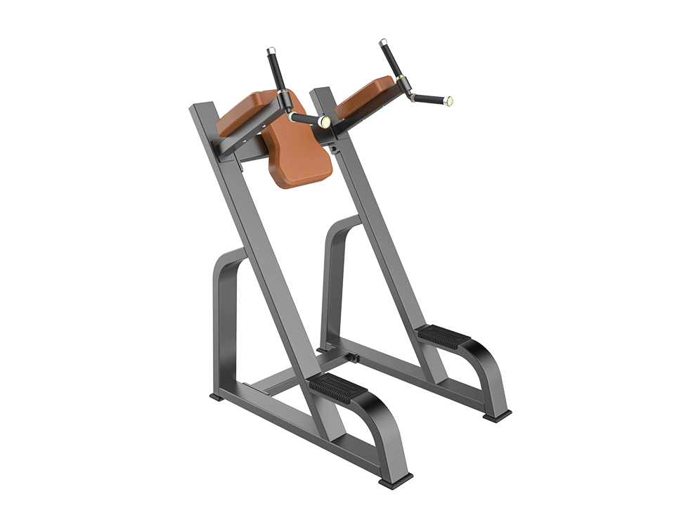 Vertical Knee Up Dip Máy tập bụng TM-F47