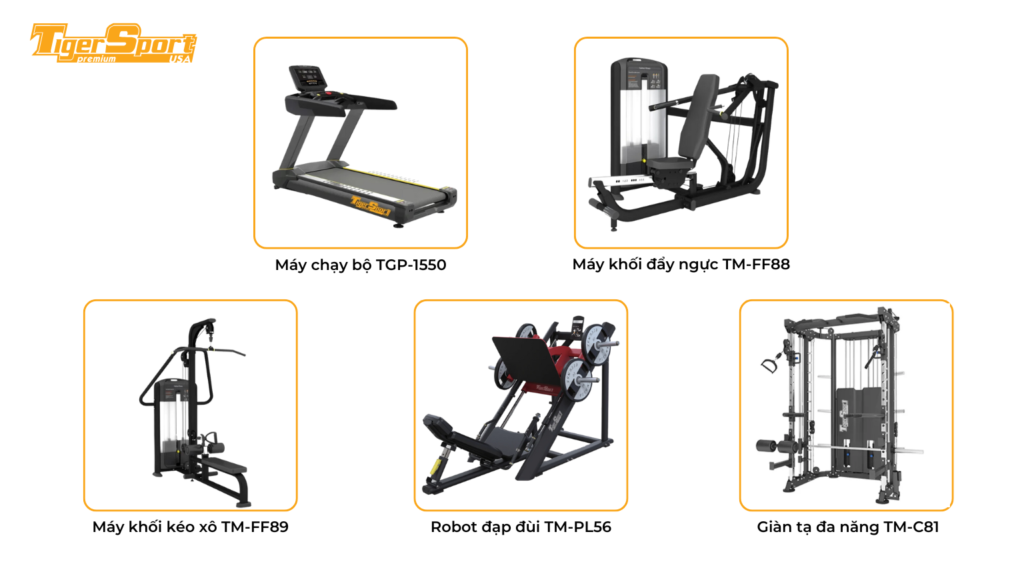 TƯ VẤN SET UP PHÒNG GYM LEONTINA GYM AND FITNESS CENTER TÂN BÌNH 6