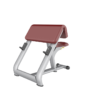 Scott Bench ghế tập tay trước TM-AN13