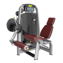 Seated Leg Extension Máy Ngồi Móc Đùi Tiger Sport TM-AN27