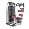 Rotary Torso Máy Tập Cơ Lưng Bụng Tiger Sport TM-AN35