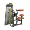 Abdominal Back Extension Máy khối tập lưng bụng Tiger Sport TM-F85B