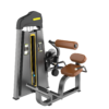 Back Extension Máy khối tập lưng Tiger Sport TM-F31