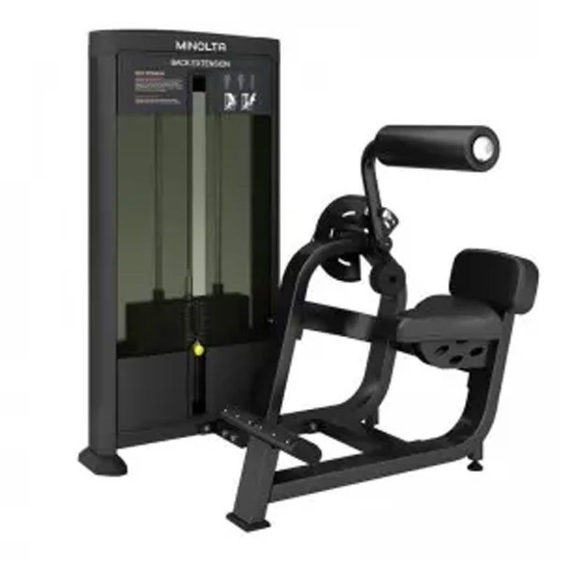 Back Extension Tiger Sport TM-FD31 2 Back Extension Tiger Sport TM-FD31