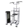 DipChin Assist Máy Hít Xà Tiger Sport TM-FS09 3 DipChin Assist Máy Hít Xà Tiger Sport TM-FS09