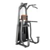 Dip/Chin Assist Máy khối xà đơn xà kép Tiger Sport TM-F09 3 DipChin Assist Máy khối xà đơn xà kép Tiger Sport TM-F09
