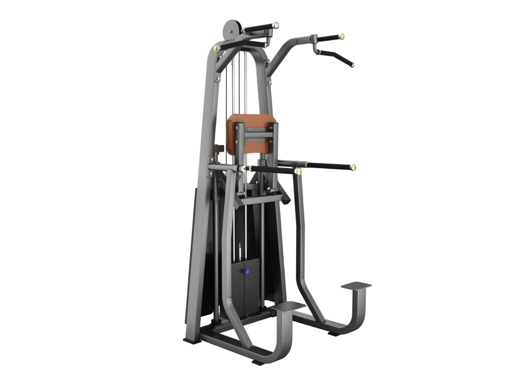 Dip/Chin Assist Máy khối xà đơn xà kép Tiger Sport TM-F09 2 DipChin Assist Máy khối xà đơn xà kép Tiger Sport TM-F09