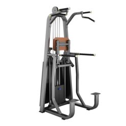 DipChin Assist Máy khối xà đơn xà kép Tiger Sport TM-F09