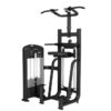 DipChin Assist Máy khối xà đơn xà kép Tiger Sport TM-FB09