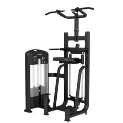 DipChin Assist Máy khối xà đơn xà kép Tiger Sport TM-FB09
